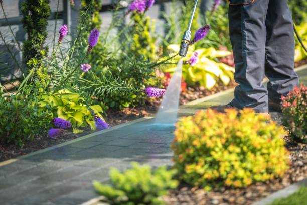 Best Residential Pressure Washing in Summerfield, NC