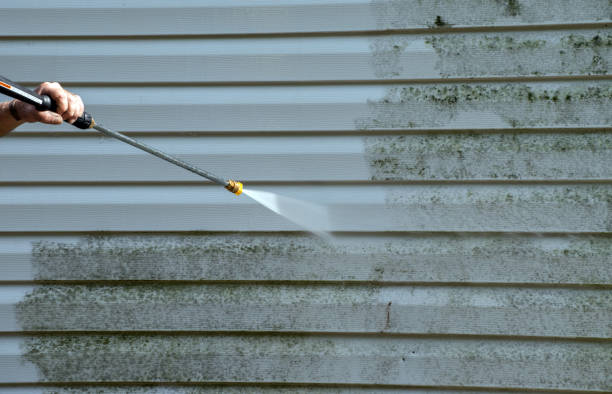 Best Window and Screen Pressure Cleaning in Summerfield, NC